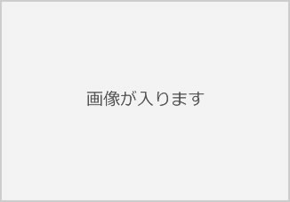 NO PHOTO
