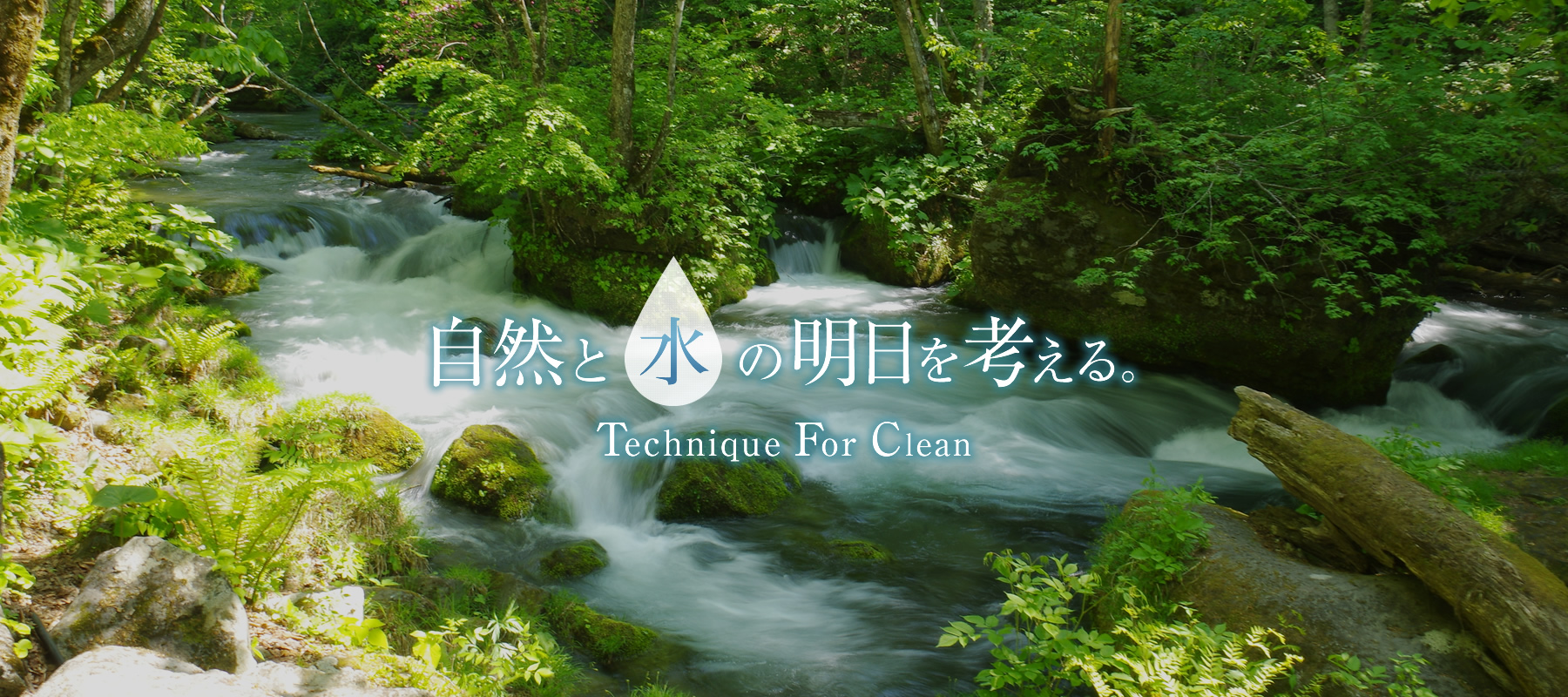 株式会社TFC